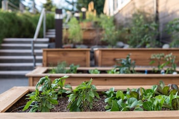Salish Lodge & Spa,Seattle>>Fall City,4 star