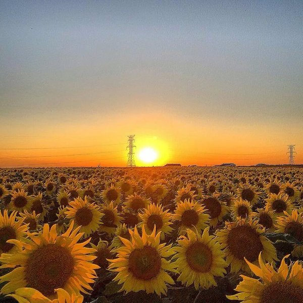 best western el quartelejo inn and suites