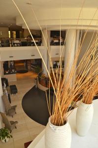 gran hotel presidente