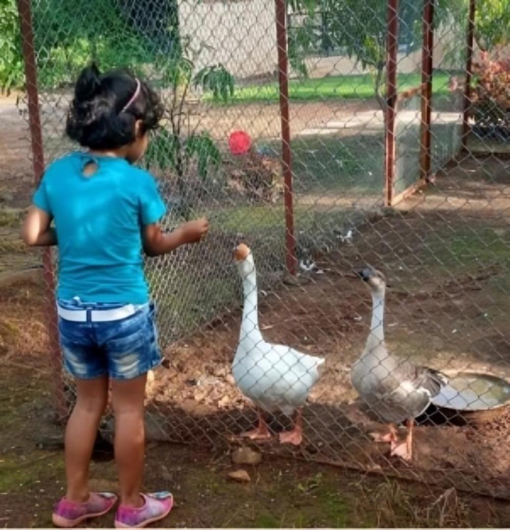 bimalfarm at koroli hills