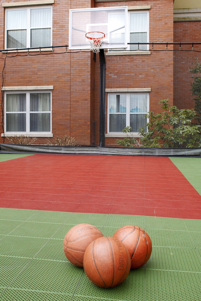 residence inn tampa suncoast parkway at northpointe village