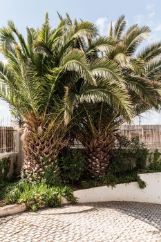 Residenza Santa Cecilia,San Vincenzo>>Livorno,3 star