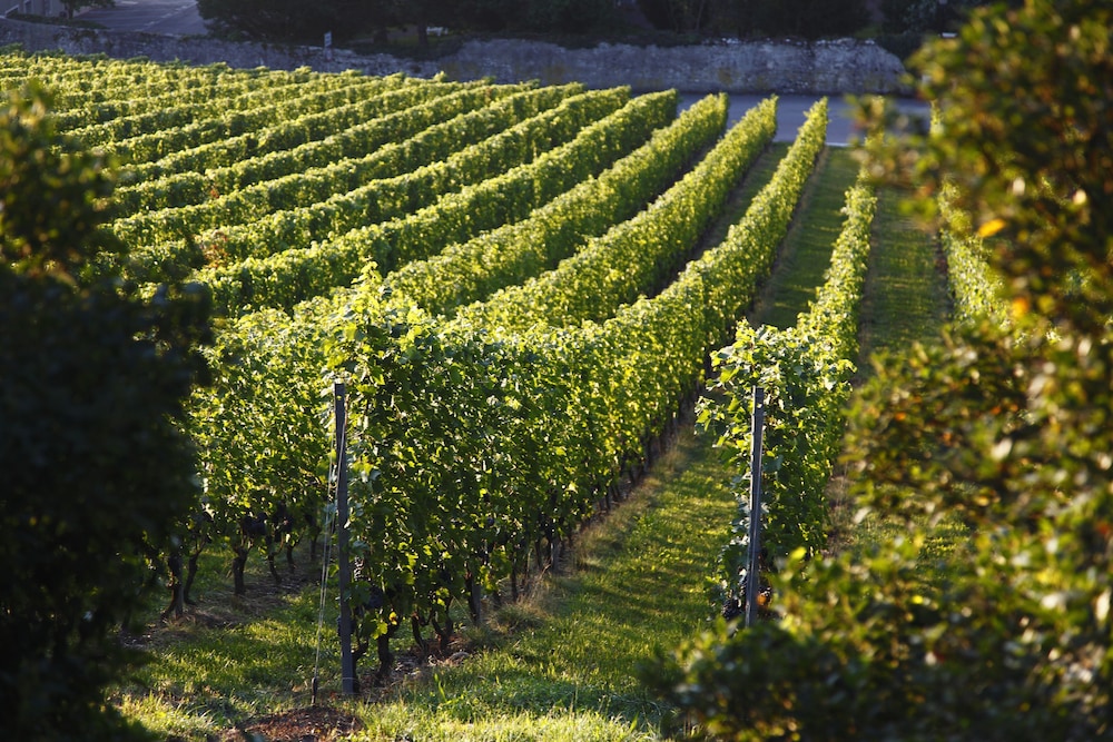 domaine de chateauvieux