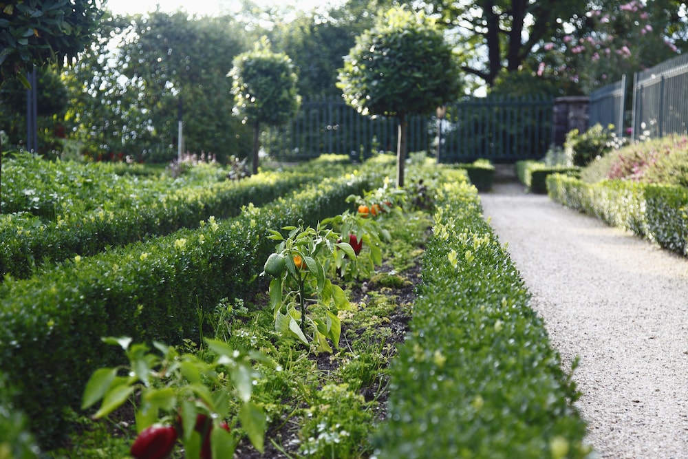 domaine de chateauvieux