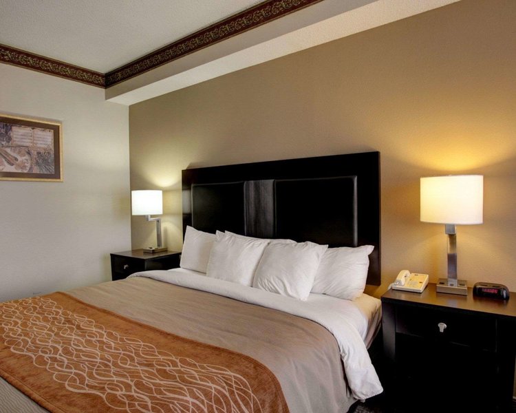 comfort inn and suites