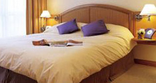 harbour plaza resort city