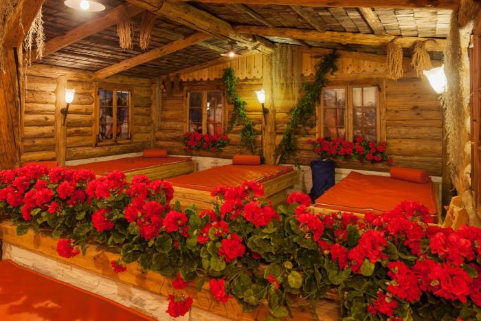 alpinhotel berghaus