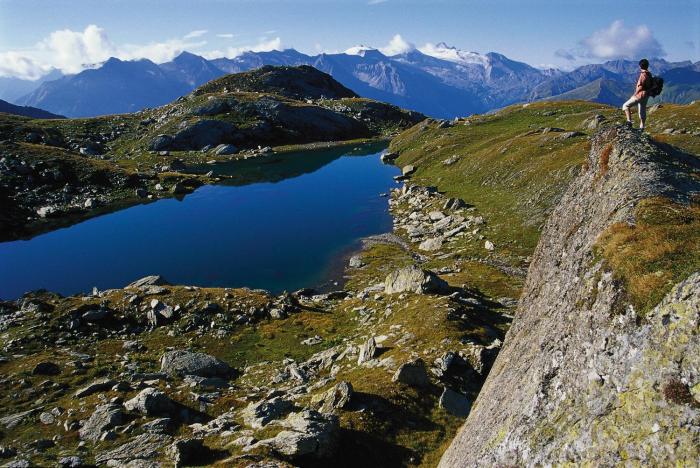 alpinhotel berghaus
