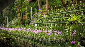 Thavorn Palm Beach Resort Phuket,Karon Beach>>Karon,5 star