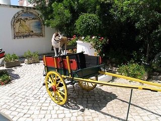 balaia sol holiday club