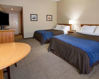 Comfort Inn & Suites Syracuse-Carrier Circle,East Syracuse>>Dewitt,3 star