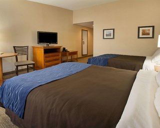 Comfort Inn & Suites Syracuse-Carrier Circle,East Syracuse>>Dewitt,3 star