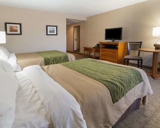 Comfort Inn & Suites Syracuse-Carrier Circle,East Syracuse>>Dewitt,3 star