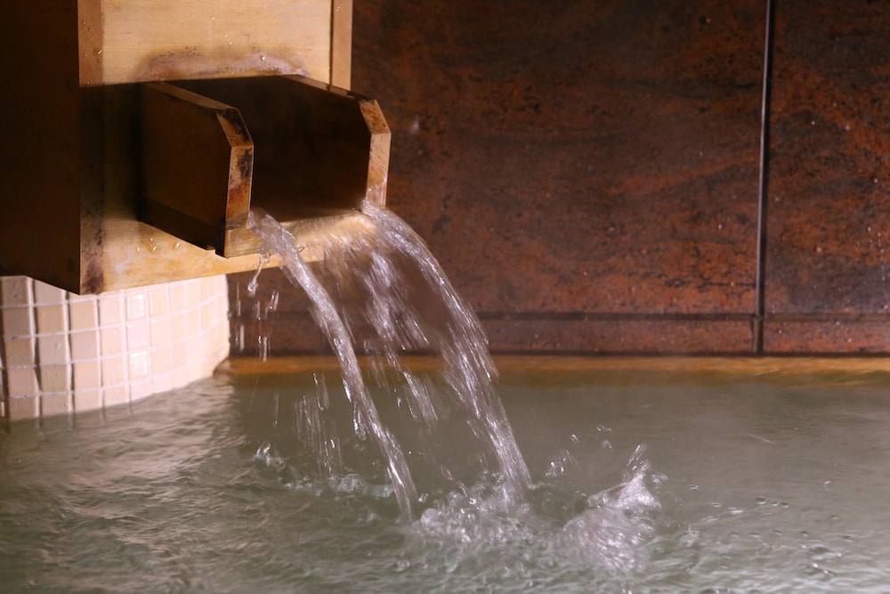 ryokan kamogawa asakusa