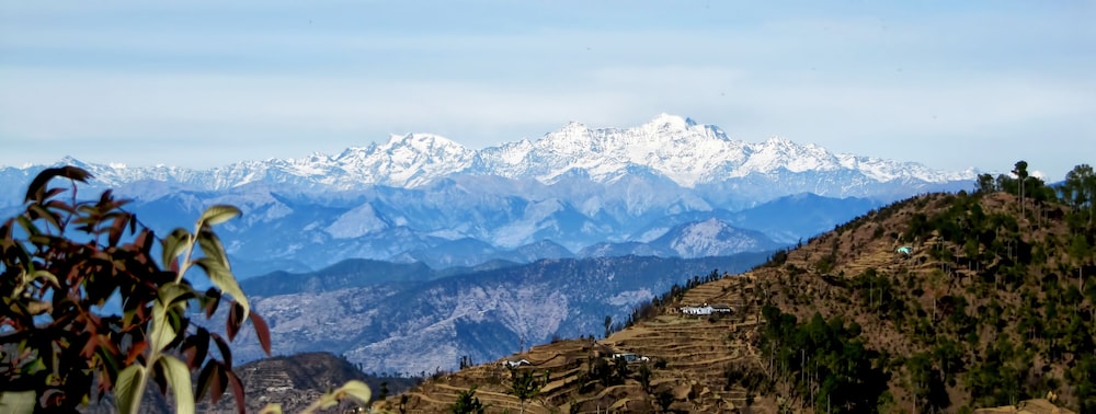 dhanaulti