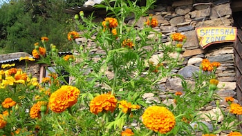 dhanaulti