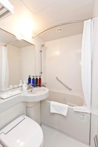 sotetsu fresa inn shimbashi hibiyaguchi