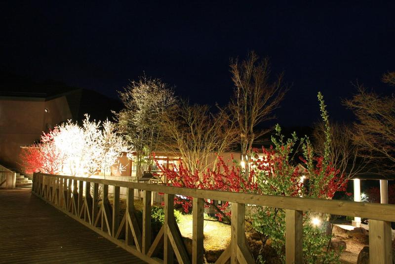 Hotel Fukinomori,Iida>>Gero,4 star