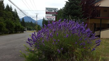 mountain view lodge