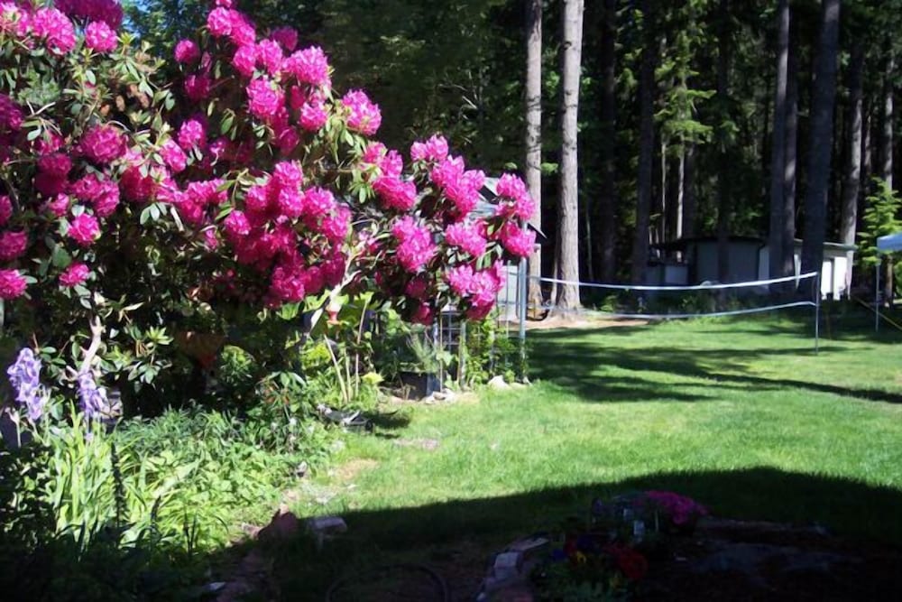 mountain view lodge