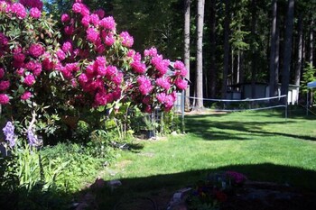 mountain view lodge
