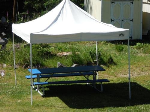 mountain view lodge