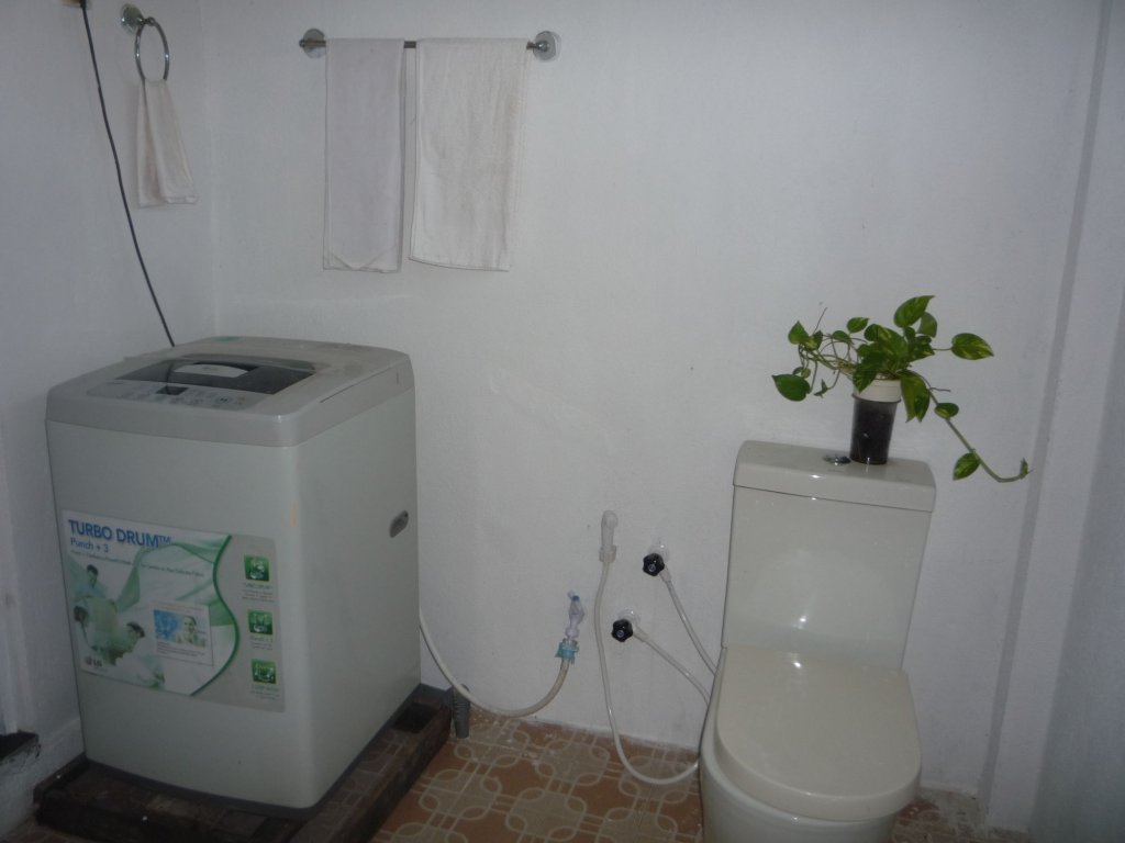 blow hole view home stay