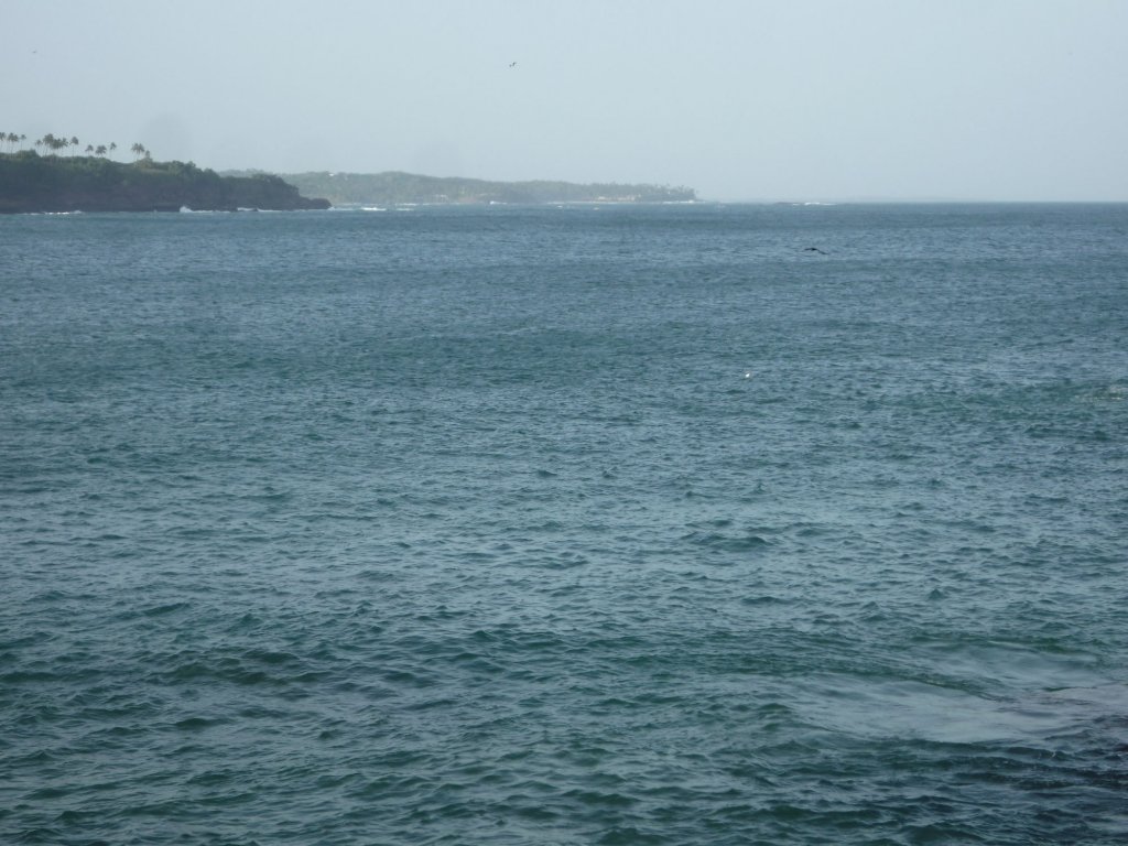 blow hole view home stay