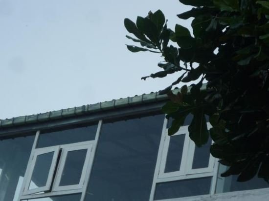 blow hole view home stay