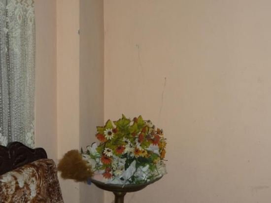 blow hole view home stay