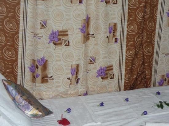 blow hole view home stay