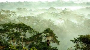Gaia Riverlodge,Belmopan>>Belize,4 star