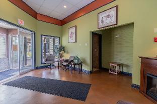 hotel viewmont residency ltd