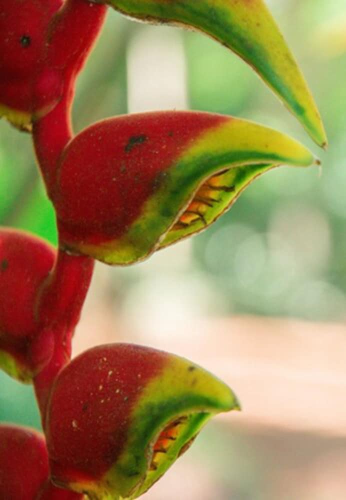 raices amambai lodges