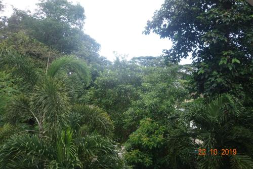 forest lodge guest house