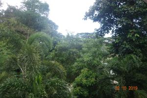 forest lodge guest house