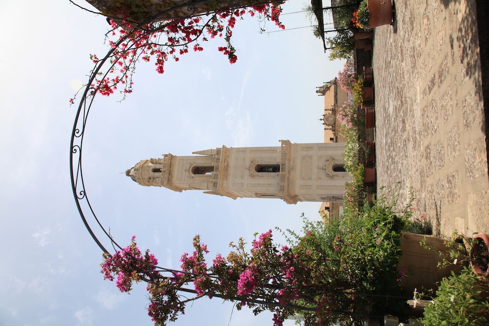 palazzo rollo