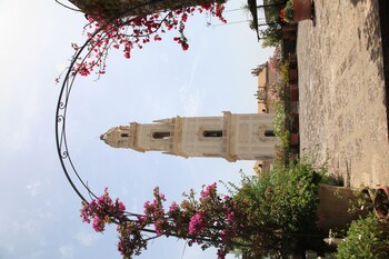 palazzo rollo