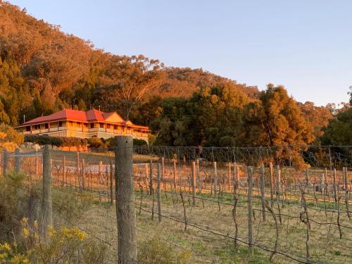 the mudgee homestead guesthouse