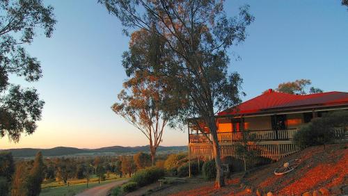 the mudgee homestead guesthouse