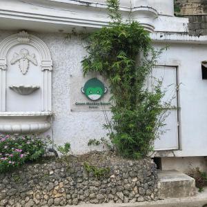 green monkey resort