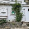 green monkey resort