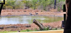 selous game reserve