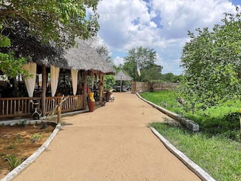 africa safari selous