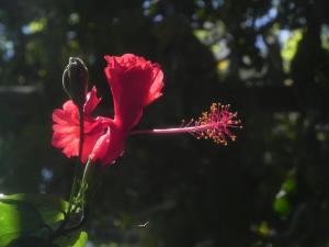 sublime by playa la roca ecohotel