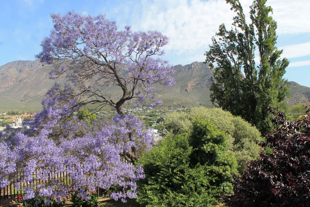 mountain view lodge montagu