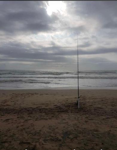 whalesong guest house