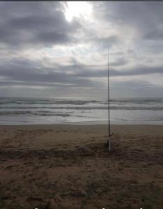 whalesong guest house