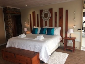 white shark guest house