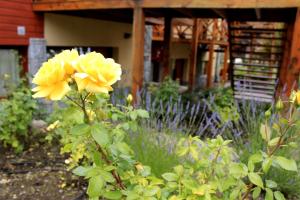 los robles apart and spa